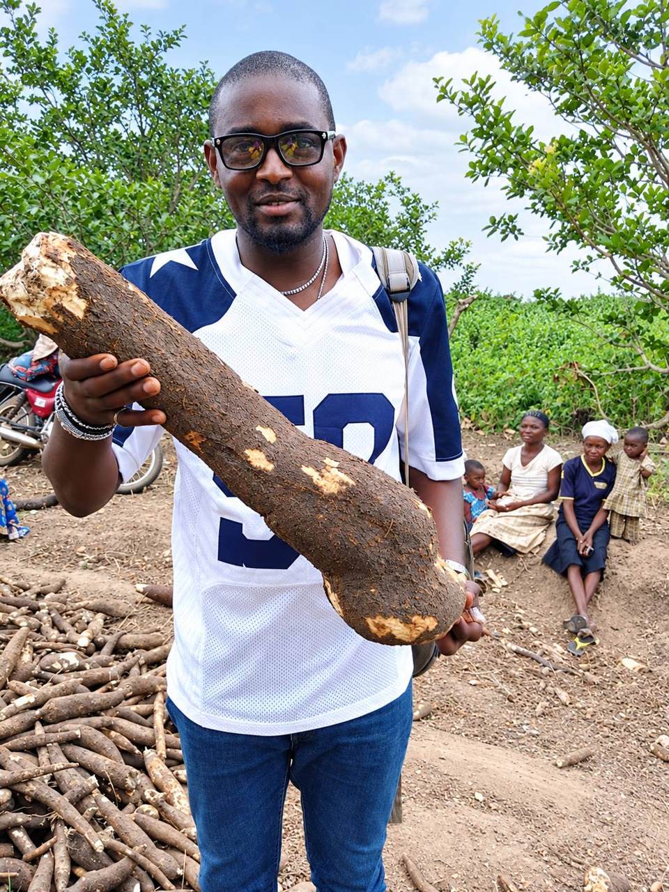 Holding a freshly harvested cassava root
